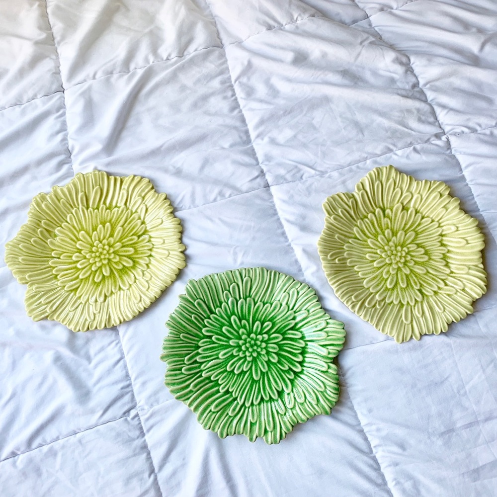 Glass Plant Plates